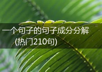 一个句子的句子成分分解(热门210句)