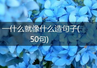 一什么就像什么造句子(50句)