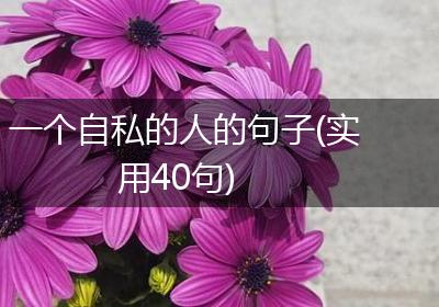 一个自私的人的句子(实用40句)