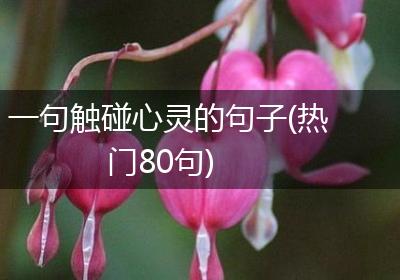 一句触碰心灵的句子(热门80句)
