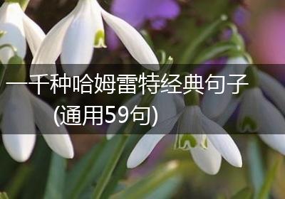 一千种哈姆雷特经典句子(通用59句)