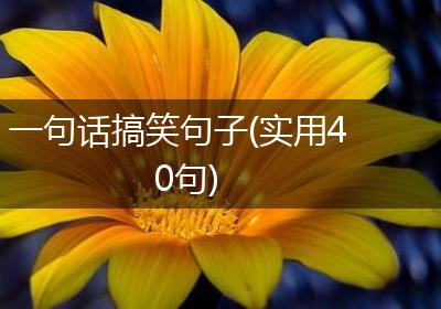 一句话搞笑句子(实用40句)