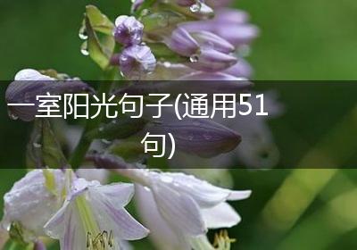 一室阳光句子(通用51句)