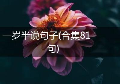 一岁半说句子(合集81句)