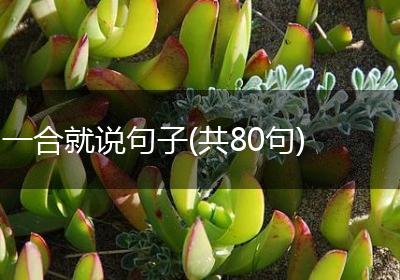 一合就说句子(共80句)