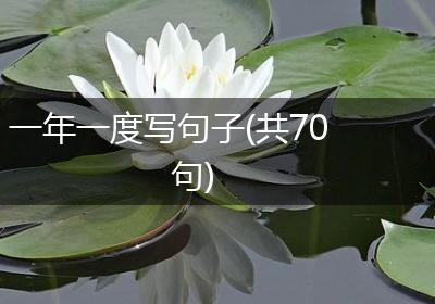 一年一度写句子(共70句)