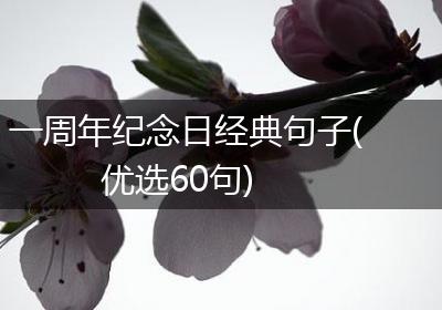 一周年纪念日经典句子(优选60句)