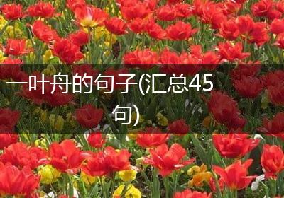 一叶舟的句子(汇总45句)