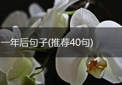 一年后句子(推荐40句)