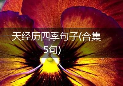 一天经历四季句子(合集5句)