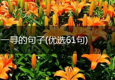 一寻的句子(优选61句)