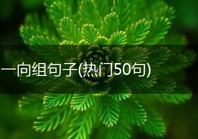 一向组句子(热门50句)