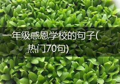 一年级感恩学校的句子(热门70句)