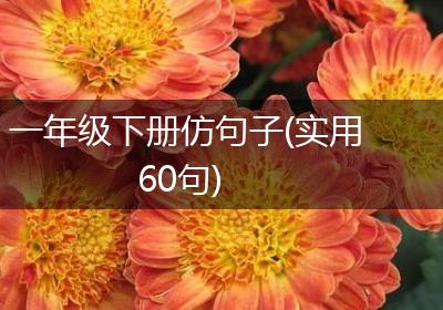 一年级下册仿句子(实用60句)