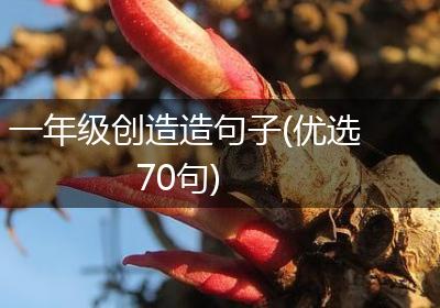 一年级创造造句子(优选70句)