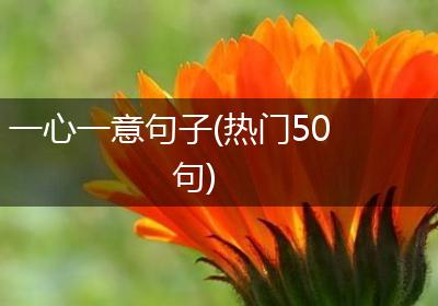 一心一意句子(热门50句)