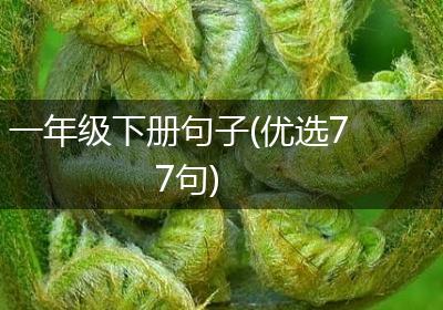 一年级下册句子(优选77句)