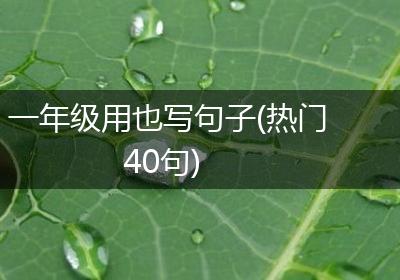 一年级用也写句子(热门40句)