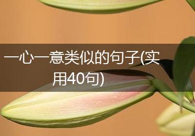 一心一意类似的句子(实用40句)