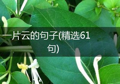 一片云的句子(精选61句)