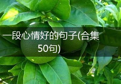 一段心情好的句子(合集50句)