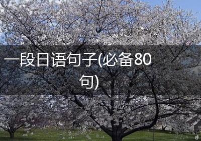 一段日语句子(必备80句)