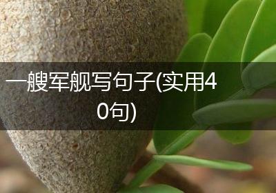 一艘军舰写句子(实用40句)