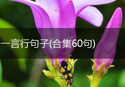 一言行句子(合集60句)