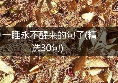 一睡永不醒来的句子(精选30句)