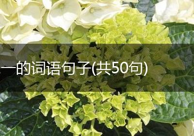 一的词语句子(共50句)