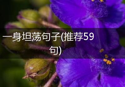一身坦荡句子(推荐59句)