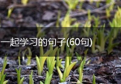 一起学习的句子(60句)