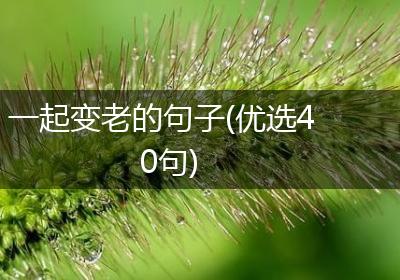 一起变老的句子(优选40句)