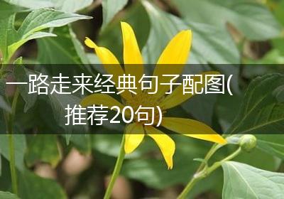 一路走来经典句子配图(推荐20句)