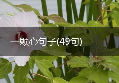 一颗心句子(49句)