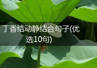 丁香结动静结合句子(优选10句)
