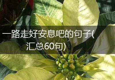 一路走好安息吧的句子(汇总60句)