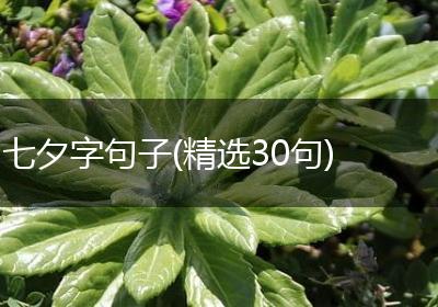 七夕字句子(精选30句)