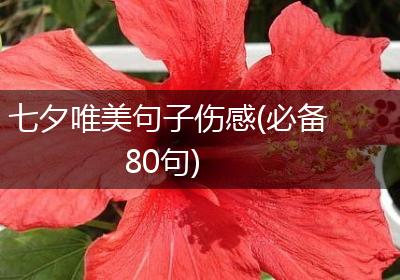 七夕唯美句子伤感(必备80句)