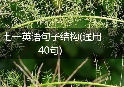 七一英语句子结构(通用40句)