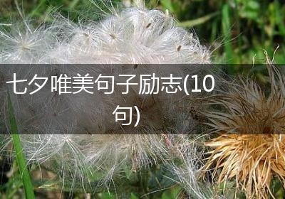 七夕唯美句子励志(10句)