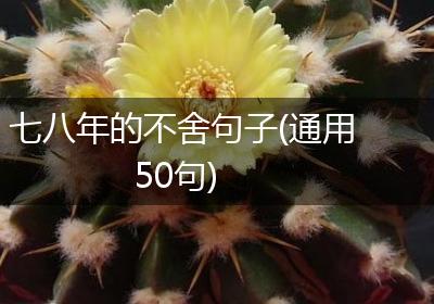 七八年的不舍句子(通用50句)