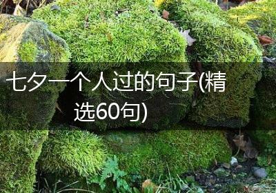 七夕一个人过的句子(精选60句)