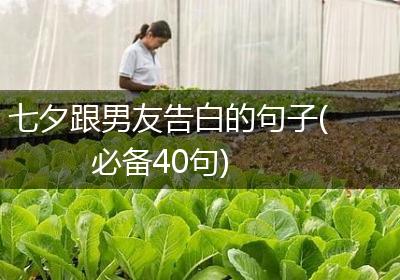 七夕跟男友告白的句子(必备40句)