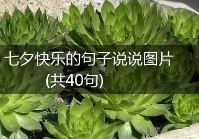七夕快乐的句子说说图片(共40句)