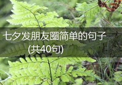 七夕发朋友圈简单的句子(共40句)