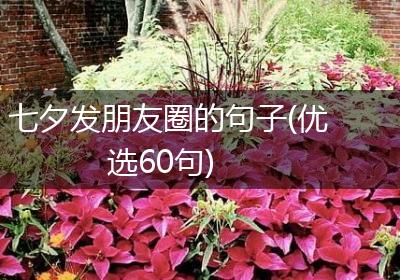 七夕发朋友圈的句子(优选60句)