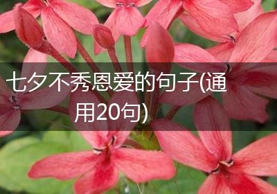 七夕不秀恩爱的句子(通用20句)