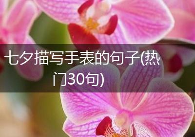 七夕描写手表的句子(热门30句)