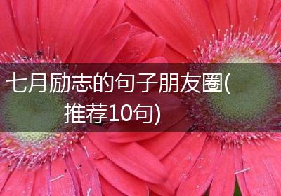 七月励志的句子朋友圈(推荐10句)